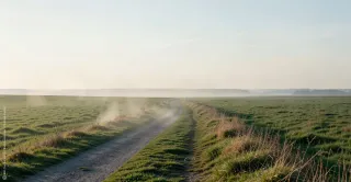 Ruhige Landschaft im weichen Morgenlicht. Ein schmaler Weg oder eine offene Fläche führt in die Tiefe des Bildes. Die Szene wirkt still, klar und weit.